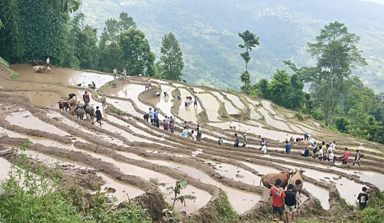 चार दशकपछि ब्युँत्याइयो ‘बेठी’