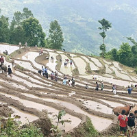 संयुक्त राष्ट्र आर्थिक तथा सामाजिक परिषद्को अध्यक्षमा नेपाल निर्वाचित