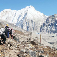 ७४ जिल्लामा २४ सयभन्दा बढीमा डेंगु पुष्टि