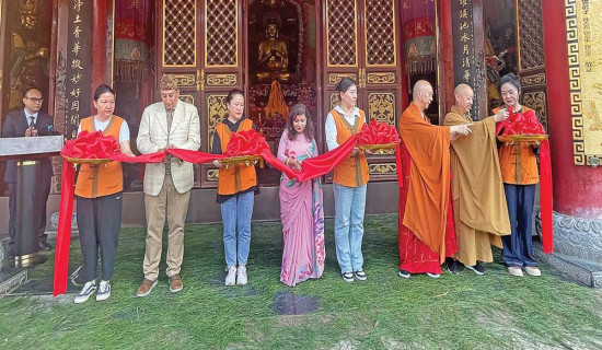 दहबुकी खर्कको चरन क्षेत्रमा भेडाका बथान