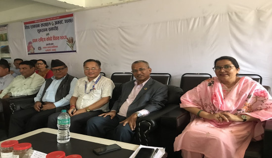 दहबुकी खर्कको चरन क्षेत्रमा भेडाका बथान