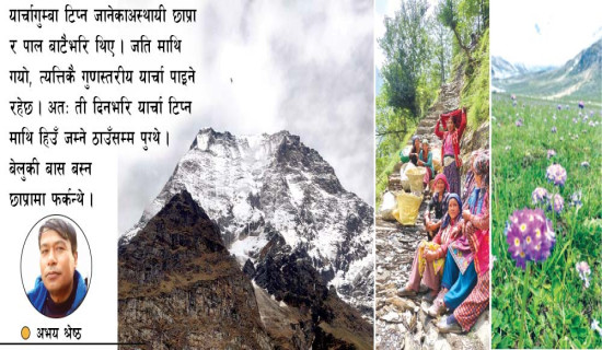 झल्किरहने अपि हिमाल