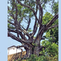 कार्टुनिष्टले कार्टुन प्रस्तुत गर्दा भोग्नुपरेको समस्याबारे छलफल