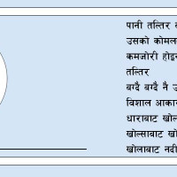 राहत माग्दै मुख्यमन्त्री सिंहलाई ध्यानाकर्षणपत्र