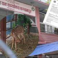 ब्याजदर घट्दा पनि बढ्न सकेन कर्जा प्रवाह
