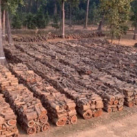 कोदो खेतीमा अग्रसर हुन आग्रह