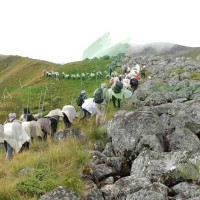प्रसिद्ध धार्मिक शक्तिपीठ उग्रतारा भगवती मन्दिरमा अष्टमी मेला