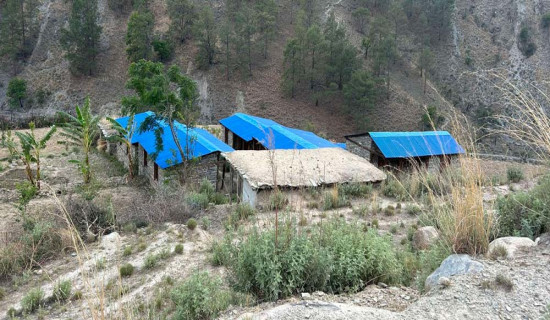 दोहोरो आइजिनको व्यवस्था खारेज गर्न इप्पानको माग