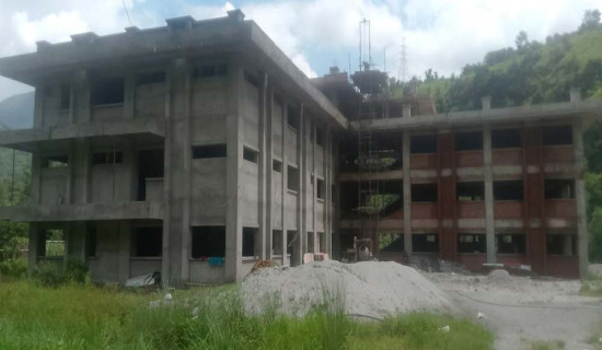भारतमा उत्पादन घट्दा नेपाली चिया निर्यात बढ्यो