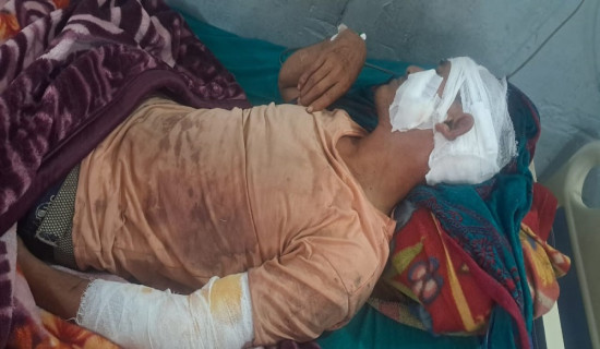 बाघको आक्रमणबाट एक जना गम्भीर