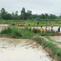 विद्यार्थीमा भाइरल ज्वरो