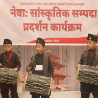 सङ्कटग्रस्त मधेशमा ‘अमृत’ वर्षा  : धान रोपाइँमा किसान आकर्षित