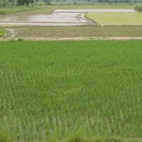जीवन उपयोगी शिक्षा आवश्यक छ : मेयर साह