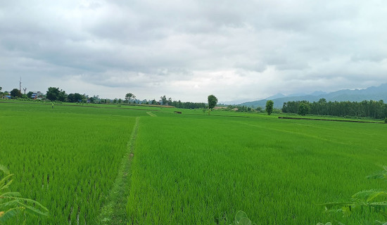 खाद्य तथा दाना पदार्थको परीक्षणमा प्रत्यायन क्षेत्र विस्तार