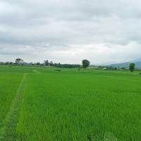 गुल्मीका अस्पताल : पाँच वर्षमा पनि काम अधुरै