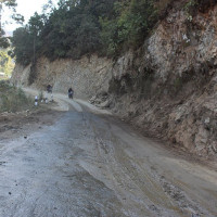 सुटकेसमा बच्चा राखेर  बसमा यात्रा गर्ने न्युजिल्यान्डकी महिला पक्राउ