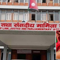 उनन्तीस महिनापछि  चयन हुँदै उपसभामुख