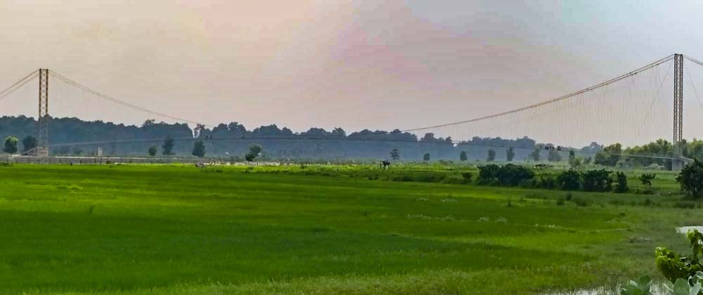 झोलुङ्गे पुलले डुङ्गा विस्थापित