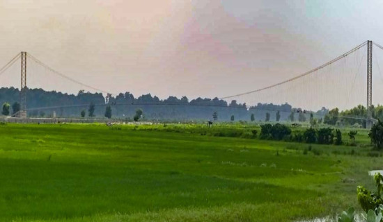 झोलुङ्गे पुलले डुङ्गा विस्थापित