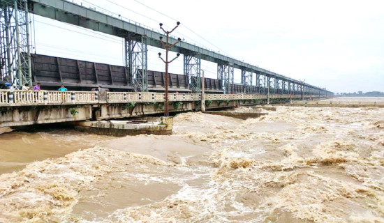 सप्तकोशी नदीमा पानीको वहाव उच्च