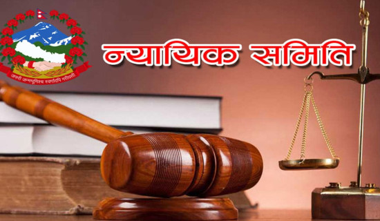 न्यायिक समितिमा उजुरी बढ्दै