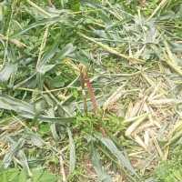 सतर्कतासहित उद्धार सामग्री तयारी अवस्थामा राख्न आग्रह