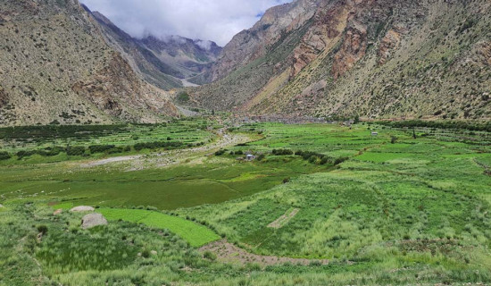खेतीयोग्य जमिन बाँझो हुने क्रम बढ्दै