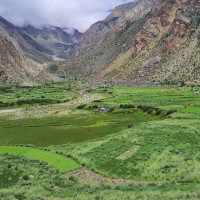 निजामती सेवा विधेयक :  समिति सदस्यसँग सत्तारूढ दलको छलफल