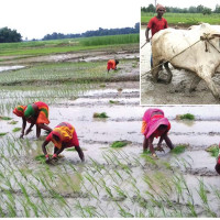 निजामती सेवा विधेयक :  समिति सदस्यसँग सत्तारूढ दलको छलफल