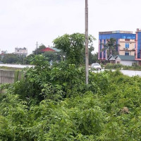 आयातित वस्तुमा नेपाल गुणस्तर अनिवार्य गरिने