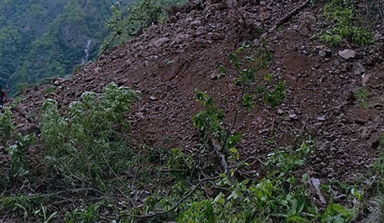 आइपिओ ल्याउनेलाई अनिवार्य दुई वटा ‘आइजिन’