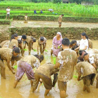 कर्णाली करिडोरको हुम्ला खण्डको खच्चामा सडक अवरुद्ध