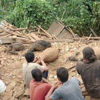 खेतीयोग्य जमिन बाँझो हुने क्रम बढ्दै