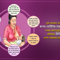 निगम जोगाउन संरचनागत सुधार