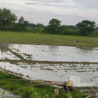 एक वर्षमा ८८ विवादको समाधान