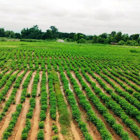 स्तनपान गराउँदा आमा र बच्चा दुवैका लागि फाइदा