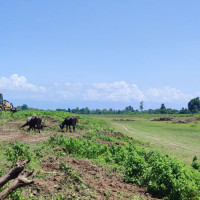 बाजुरामा नेता थापाको उम्मेदवारी दर्ता