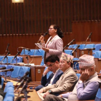 बजेट कार्यान्वयनबारे स्वास्थ्य मन्त्रालयसँग छलफल