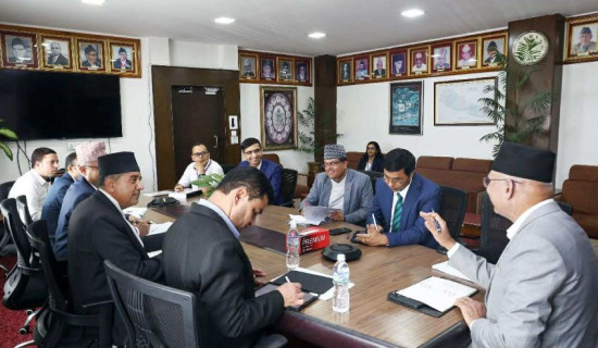 हाइड्रोजन उत्पादन मिश्रित लगानीले मात्र सम्भव
