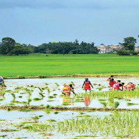 स्थानीय तहबाट सङ्घीय संसद्को यात्रामा