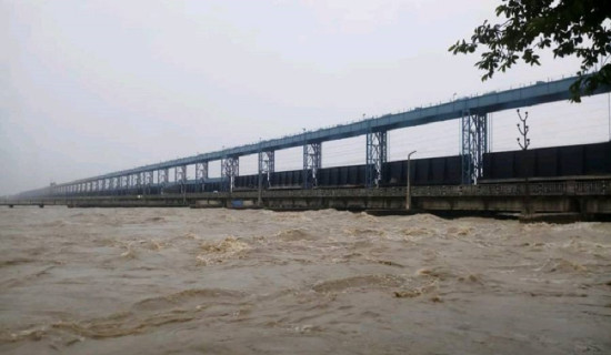 जलथल वनमा नौ प्रकारका नयाँ वनस्पति फेला