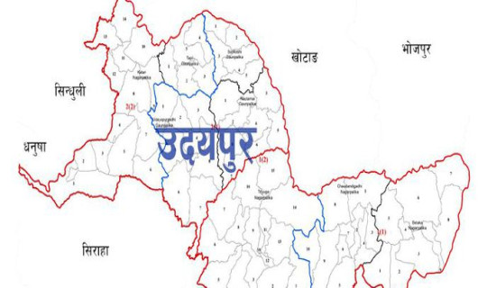 सप्तकोशीमा पानीको बहाव बढेपछि उदयपुरको बेलका उच्च जोखिममा