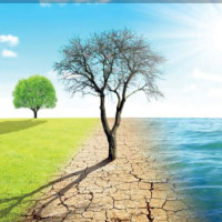 वर्ल्ड चेस  च्याम्पियनसिप खेल्दै विश्वविजय