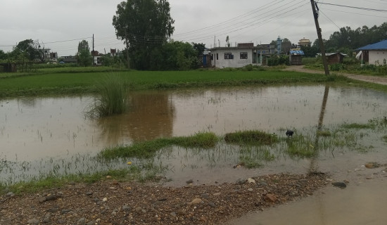 सर्लाहीमा तीन दिनदेखि लगातार वर्षा