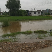 एक सयभन्दा बढी स्थानीय तहले अझै ल्याएनन् बजेट
