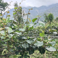 सुन्दर बारिल झरना