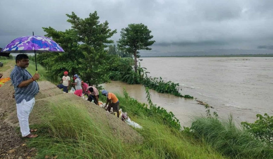 बाँध मर्मतमा जुट्यो स्थानीय सरकार