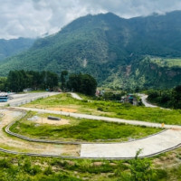 चन्द्रपुरमा लम्पी स्किनविरुद्ध निःशुल्क औषधि वितरण