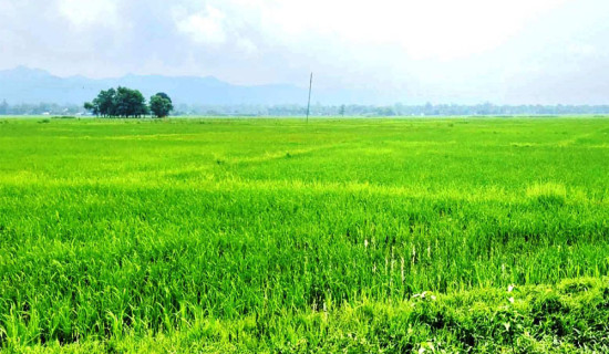 लोकसेवा तयारीका लागि वस्तुगत प्रश्नोत्तरहरु