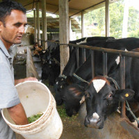 जलजलेमा अस्थायी प्रहरी चौकी स्थापना